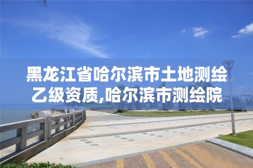 黑龍江省哈爾濱市土地測繪乙級資質,哈爾濱市測繪院