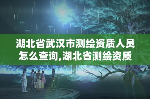 湖北省武漢市測繪資質人員怎么查詢,湖北省測繪資質管理系統