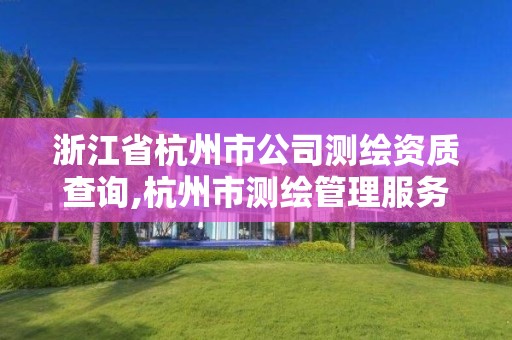 浙江省杭州市公司測繪資質查詢,杭州市測繪管理服務平臺