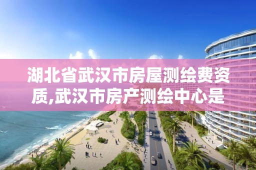 湖北省武漢市房屋測繪費資質(zhì),武漢市房產(chǎn)測繪中心是什么性質(zhì)