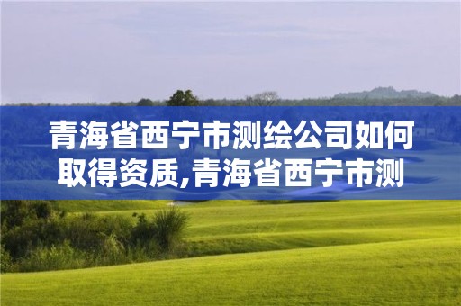 青海省西寧市測繪公司如何取得資質,青海省西寧市測繪公司如何取得資質證