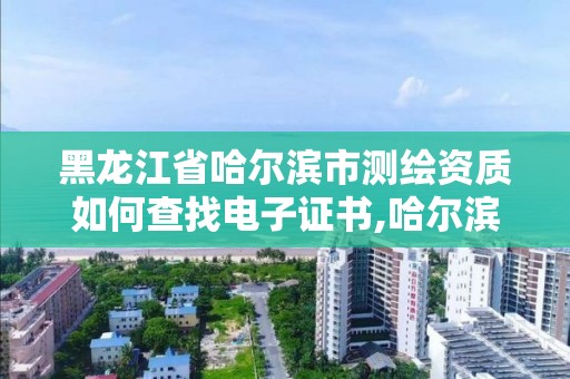 黑龍江省哈爾濱市測繪資質如何查找電子證書,哈爾濱測繪局在哪