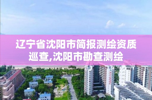 遼寧省沈陽市簡報測繪資質巡查,沈陽市勘查測繪