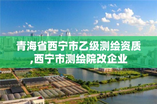 青海省西寧市乙級測繪資質,西寧市測繪院改企業