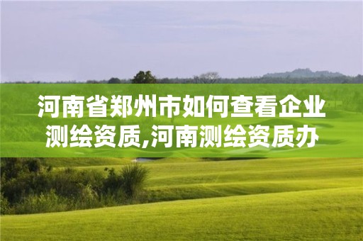 河南省鄭州市如何查看企業(yè)測繪資質,河南測繪資質辦理