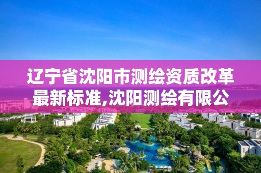 遼寧省沈陽市測繪資質(zhì)改革最新標準,沈陽測繪有限公司