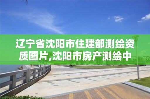 遼寧省沈陽市住建部測繪資質圖片,沈陽市房產測繪中心官網