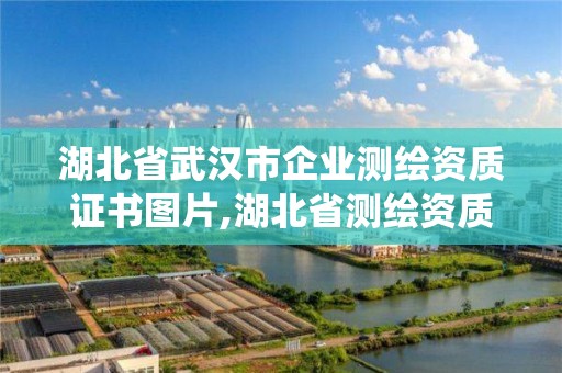 湖北省武漢市企業測繪資質證書圖片,湖北省測繪資質管理系統