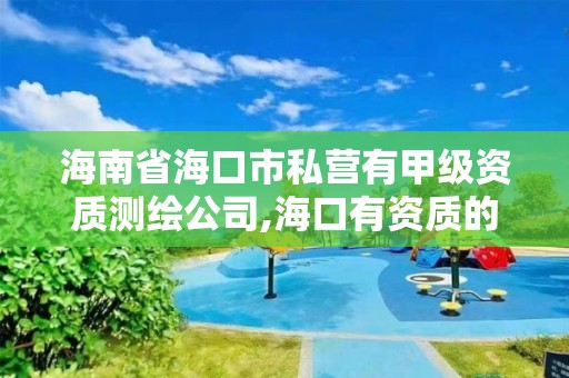 海南省海口市私營有甲級資質測繪公司,海口有資質的測繪公司。