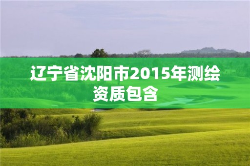 遼寧省沈陽(yáng)市2015年測(cè)繪資質(zhì)包含