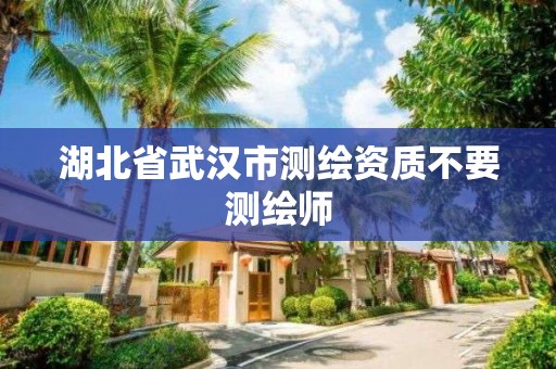 湖北省武漢市測繪資質不要測繪師