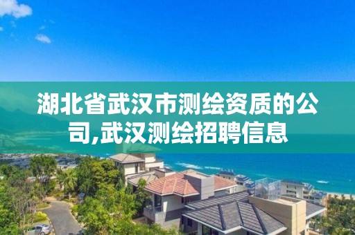 湖北省武漢市測繪資質的公司,武漢測繪招聘信息