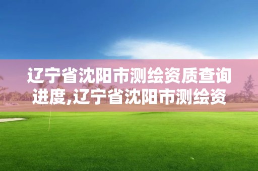 遼寧省沈陽市測繪資質查詢進度,遼寧省沈陽市測繪資質查詢進度公告