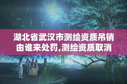 湖北省武漢市測繪資質吊銷由誰來處罰,測繪資質取消了沒有。