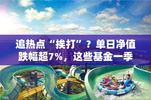 追熱點“挨打”？單日凈值跌幅超7%，這些基金一季度大調倉，基金經理喊話“全面擁抱AI”