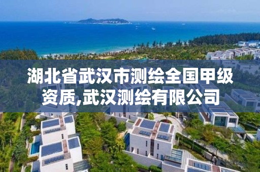 湖北省武漢市測繪全國甲級資質,武漢測繪有限公司