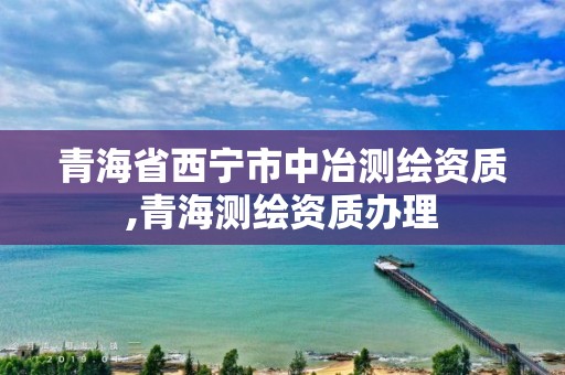 青海省西寧市中冶測(cè)繪資質(zhì),青海測(cè)繪資質(zhì)辦理