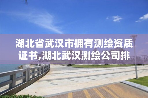 湖北省武漢市擁有測繪資質(zhì)證書,湖北武漢測繪公司排行榜