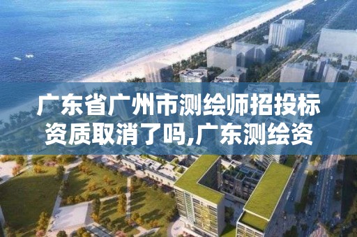 廣東省廣州市測繪師招投標資質取消了嗎,廣東測繪資質標準。