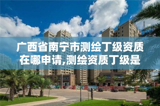 廣西省南寧市測繪丁級資質在哪申請,測繪資質丁級是什么意思