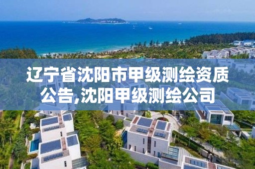 遼寧省沈陽市甲級測繪資質(zhì)公告,沈陽甲級測繪公司