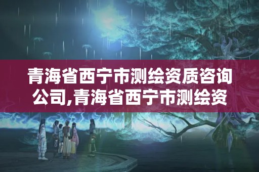 青海省西寧市測繪資質咨詢公司,青海省西寧市測繪資質咨詢公司有幾家