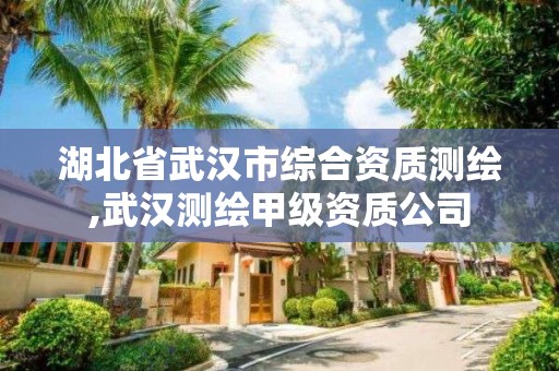 湖北省武漢市綜合資質測繪,武漢測繪甲級資質公司