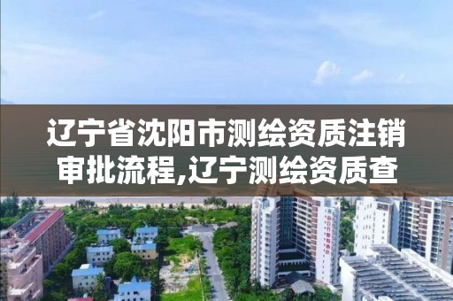 遼寧省沈陽市測繪資質注銷審批流程,遼寧測繪資質查詢