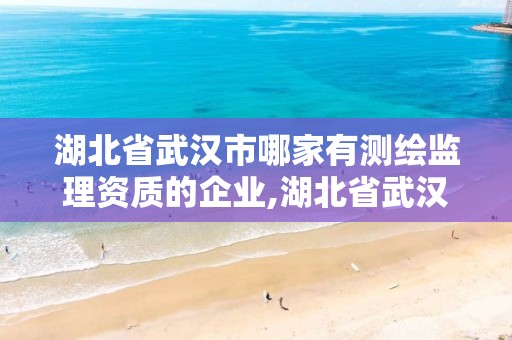 湖北省武漢市哪家有測繪監理資質的企業,湖北省武漢市哪家有測繪監理資質的企業。