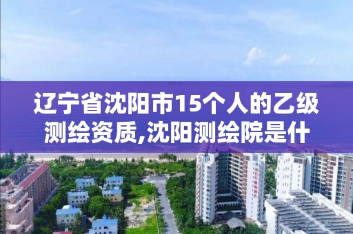 遼寧省沈陽(yáng)市15個(gè)人的乙級(jí)測(cè)繪資質(zhì),沈陽(yáng)測(cè)繪院是什么單位。