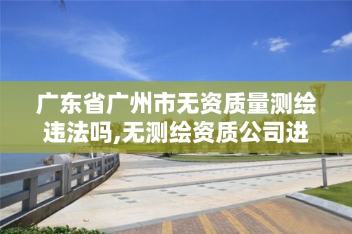 廣東省廣州市無資質量測繪違法嗎,無測繪資質公司進行測繪的后果