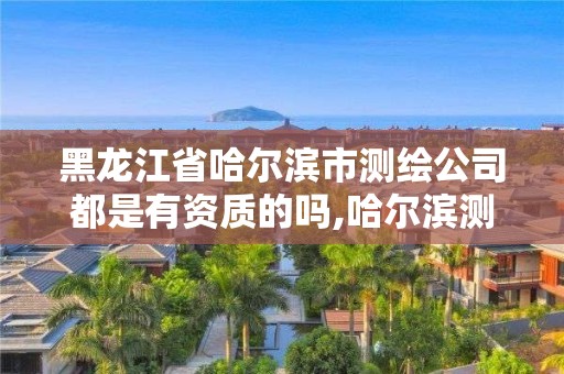 黑龍江省哈爾濱市測繪公司都是有資質的嗎,哈爾濱測繪勘察研究院怎么樣。