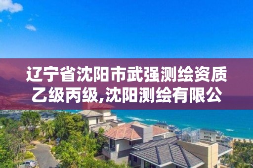 遼寧省沈陽市武強測繪資質乙級丙級,沈陽測繪有限公司