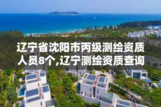 遼寧省沈陽市丙級測繪資質人員8個,遼寧測繪資質查詢。