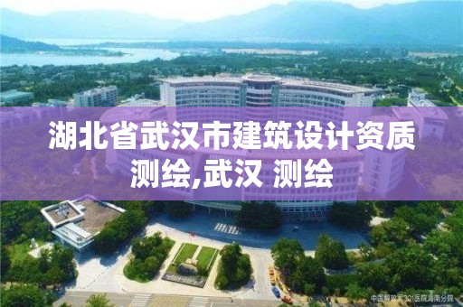 湖北省武漢市建筑設(shè)計資質(zhì)測繪,武漢 測繪