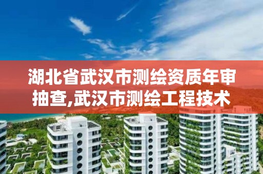 湖北省武漢市測繪資質年審抽查,武漢市測繪工程技術規定