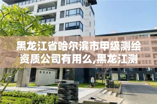 黑龍江省哈爾濱市甲級測繪資質公司有用么,黑龍江測繪公司乙級資質