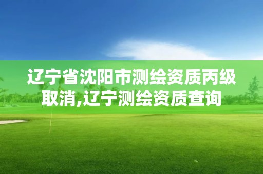 遼寧省沈陽市測繪資質丙級取消,遼寧測繪資質查詢