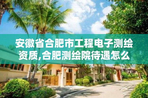 安徽省合肥市工程電子測繪資質(zhì),合肥測繪院待遇怎么樣。