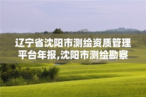 遼寧省沈陽(yáng)市測(cè)繪資質(zhì)管理平臺(tái)年報(bào),沈陽(yáng)市測(cè)繪勘察研究院