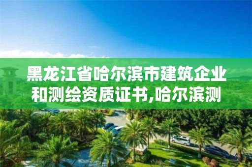 黑龍江省哈爾濱市建筑企業和測繪資質證書,哈爾濱測繪公司排名。