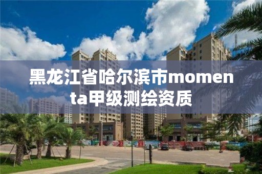 黑龍江省哈爾濱市momenta甲級測繪資質(zhì)