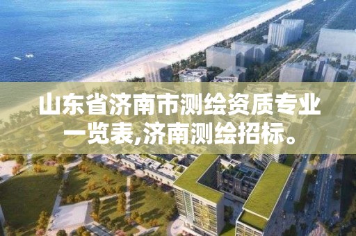 山東省濟南市測繪資質(zhì)專業(yè)一覽表,濟南測繪招標。