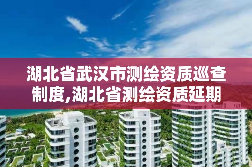 湖北省武漢市測繪資質巡查制度,湖北省測繪資質延期公告