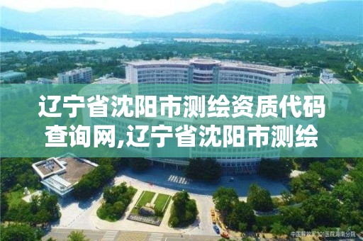 遼寧省沈陽市測繪資質代碼查詢網,遼寧省沈陽市測繪資質代碼查詢網站