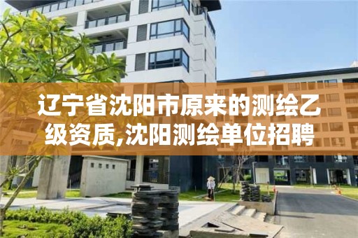 遼寧省沈陽市原來的測繪乙級資質,沈陽測繪單位招聘