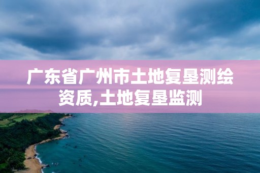 廣東省廣州市土地復墾測繪資質,土地復墾監測