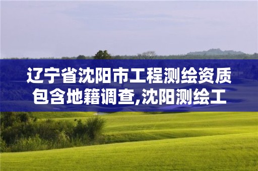 遼寧省沈陽市工程測繪資質包含地籍調查,沈陽測繪工程師招聘。