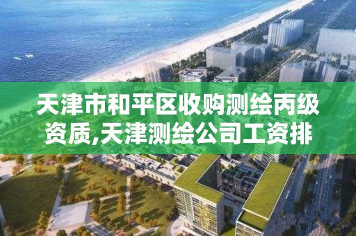 天津市和平區收購測繪丙級資質,天津測繪公司工資排行