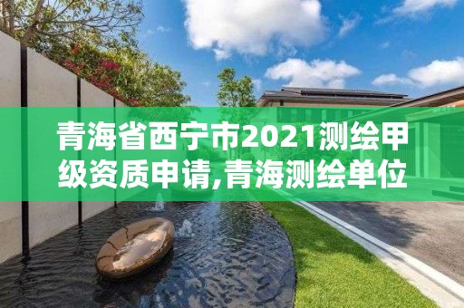 青海省西寧市2021測繪甲級資質申請,青海測繪單位